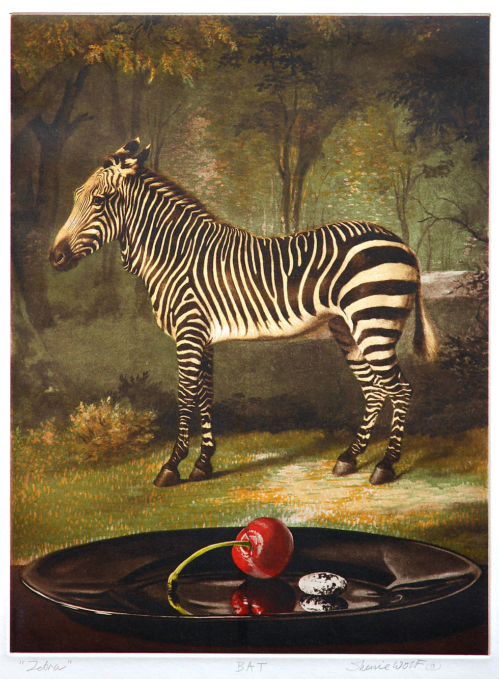 Sherrie Wolf, Zebra, 2011