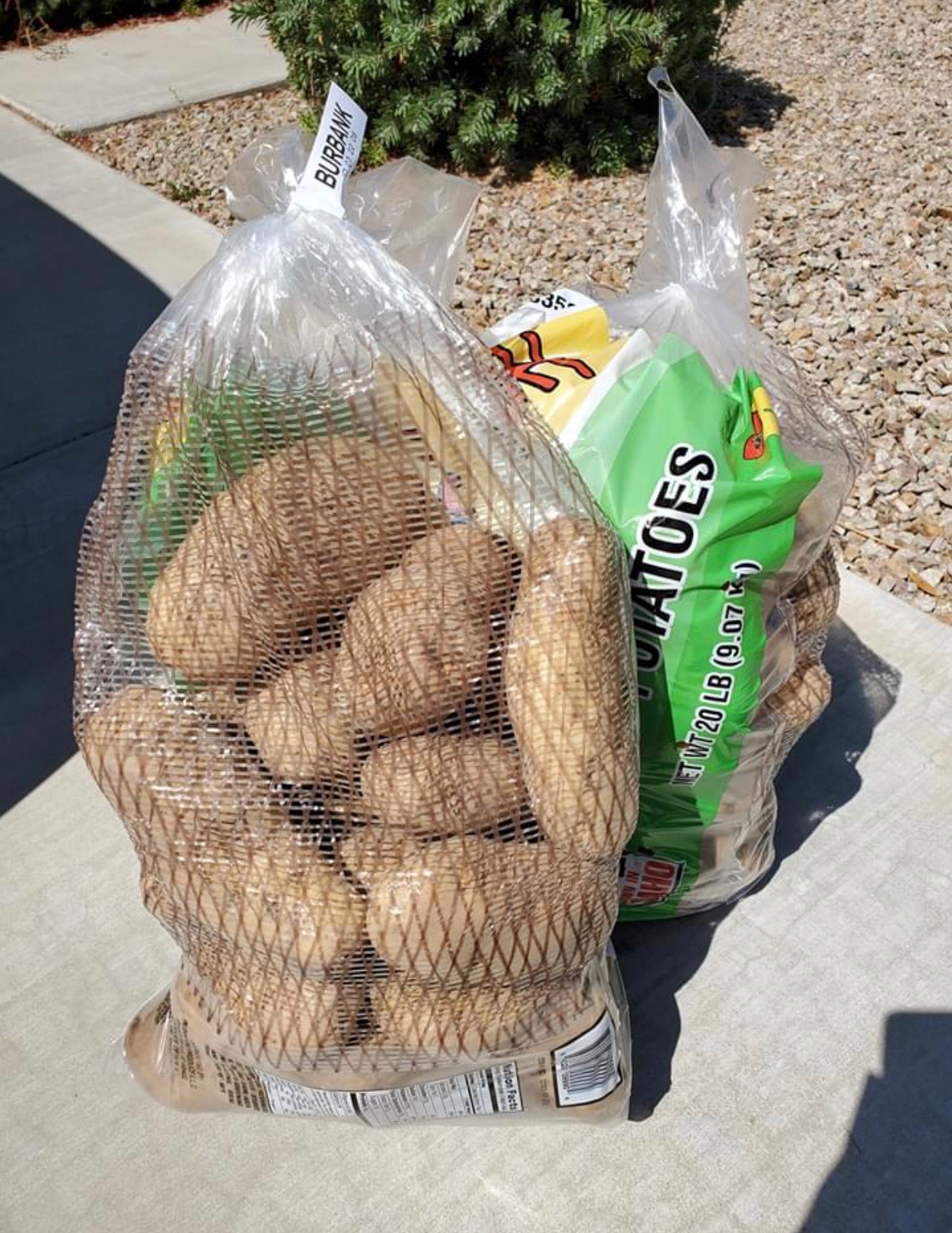 Arranged Food and Objects
