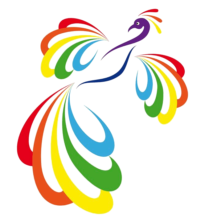 web design & logo design