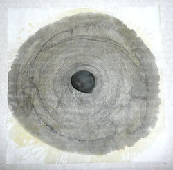 Rock Bleed. 2015. watercololur, paper, wax. moss. 5x40x40cm.