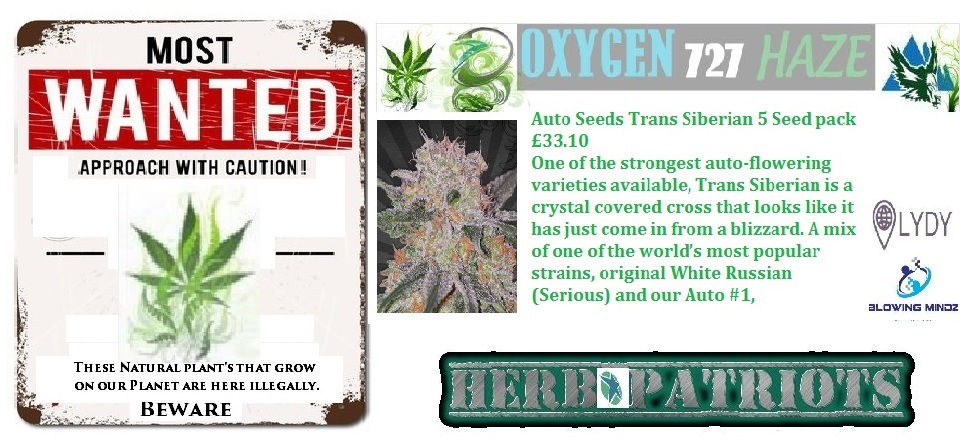 Auto Seeds Trans Siberian 5 Seed pack £33.10.jpg