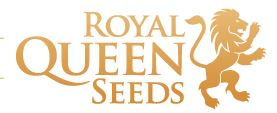 Royal Queen Seeds.JPG