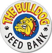 Bulldog Seeds