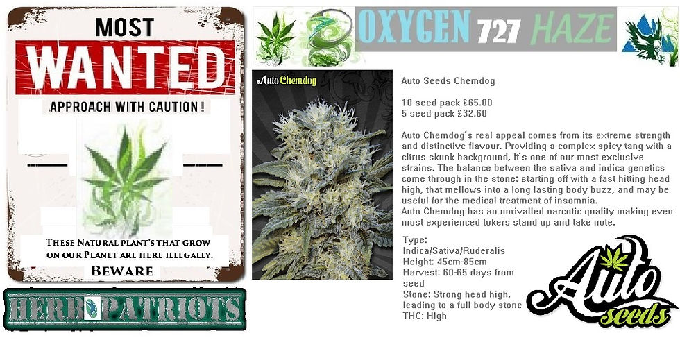 Auto Seeds Chemdog 10 seed pack £65.00.jpg