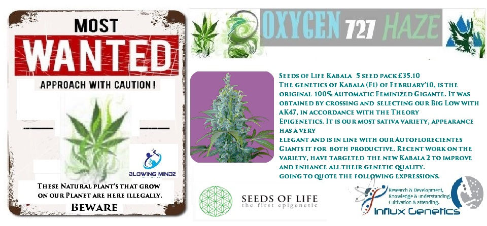 Seeds of Life Kabala Autoflowering 5 seed pack £35.10.jpg