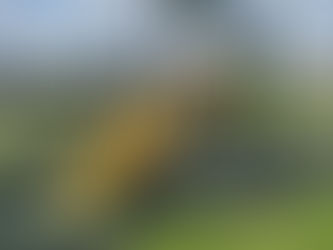 Brickhouse Farm Play Area, Maldon