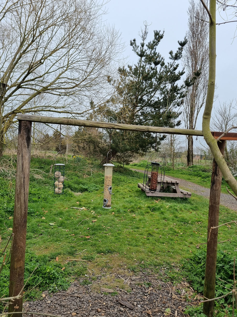 Bird Feeders at Barling Magna Nature Reserve