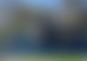 Everything you need to know about visiting Promenade Park - The Maldon Prom Park Guide