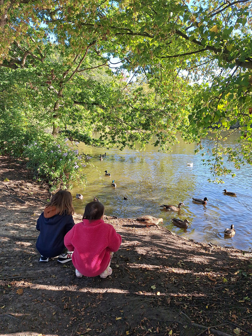 Lake at Danbury Country Park