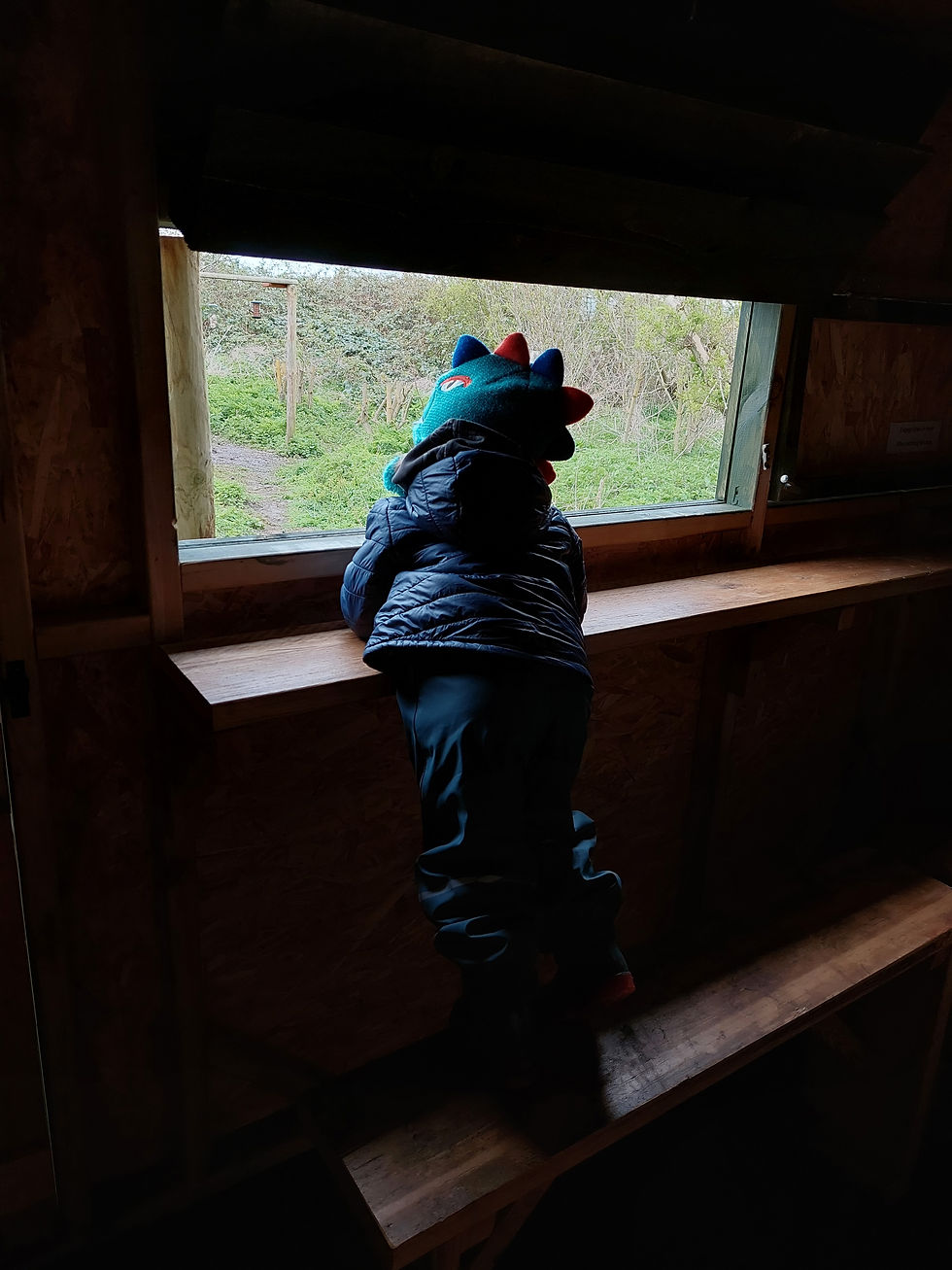 Bird Hide at Barling Magna Nature Reserve