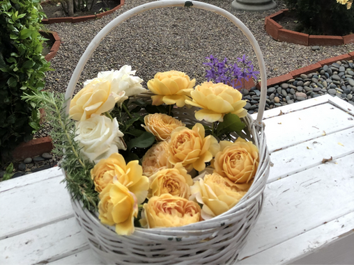 GARDEN SURROUNDINGS: April Showers Bring May Flowers