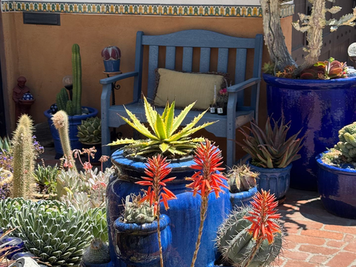 NEXT SHARING GARDENS