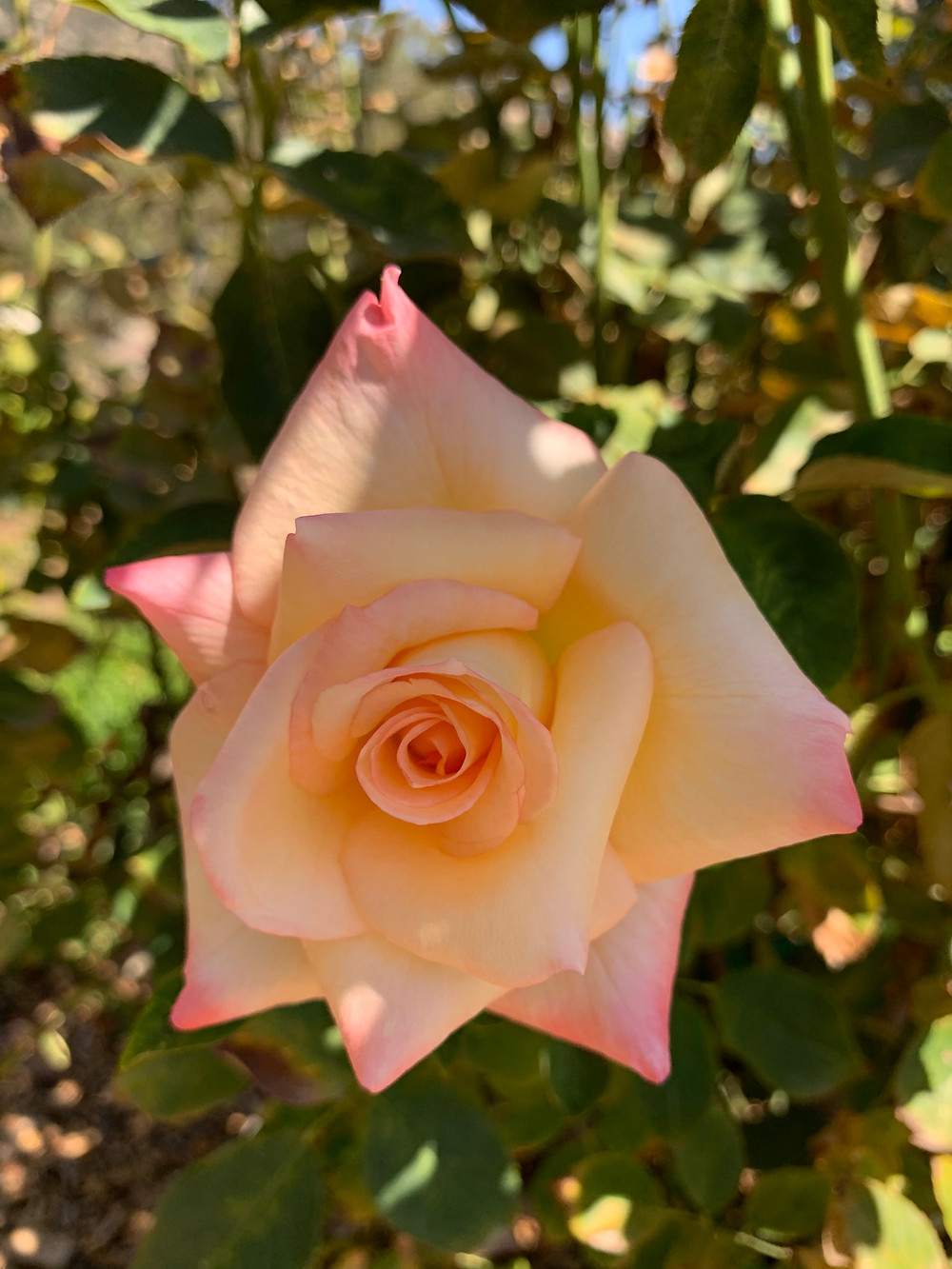 Photo credit: Karen England.