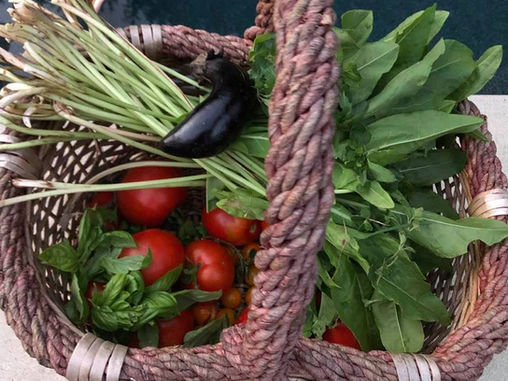 GARDEN SURROUNDINGS: March Is A Work Horse Month In Our Gardens