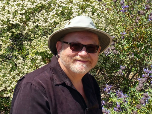 GOING WILD WITH NATIVES: CNPS Bird Park Fundraiser Workshop - Dry Stream Bed Design 101