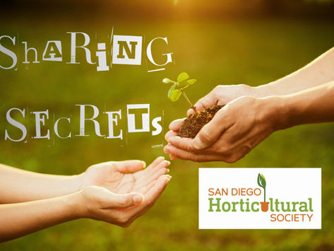 SHARING SECRETS: So, What Vegetables And Herbs Are You Going To Plant?