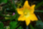 https://www.flickr.com/photos/33037982@N04/3491666101/in/photolist-2LrqDW-6jxGFF-6jxGFa-2c4ypXE-82U4qB-7LNGon-9sGCmo-6Y1bR7-U1Knnm-dmhJ15-7uJrRh-7uJu8j-6whqtJ-31mpHS-9nfnGE-7JAL5p-eZfkB9-88b5fp-72M6FJ-78sAxb-qbzyj4-qbnk3Q-r65HG5-6XWbnx-7jHxvb-5Ta6Nd-KX9DMC-5DKfqo-5pBK9S-dm2NGA-dm2FE1-9hqcnP-dmhJg5-dm2KFR-dm31kk-9sGBrG-dm2vDf-5Ae5W8-dm3bMS-dmhJth-dm38Df-dm2yR5-dm2EVn-5TkQ8U-dm2y8Z-7LSFvY-5ccaKc-2iBYbQo-2iC1Mny-c3vU9G/