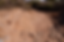 ree