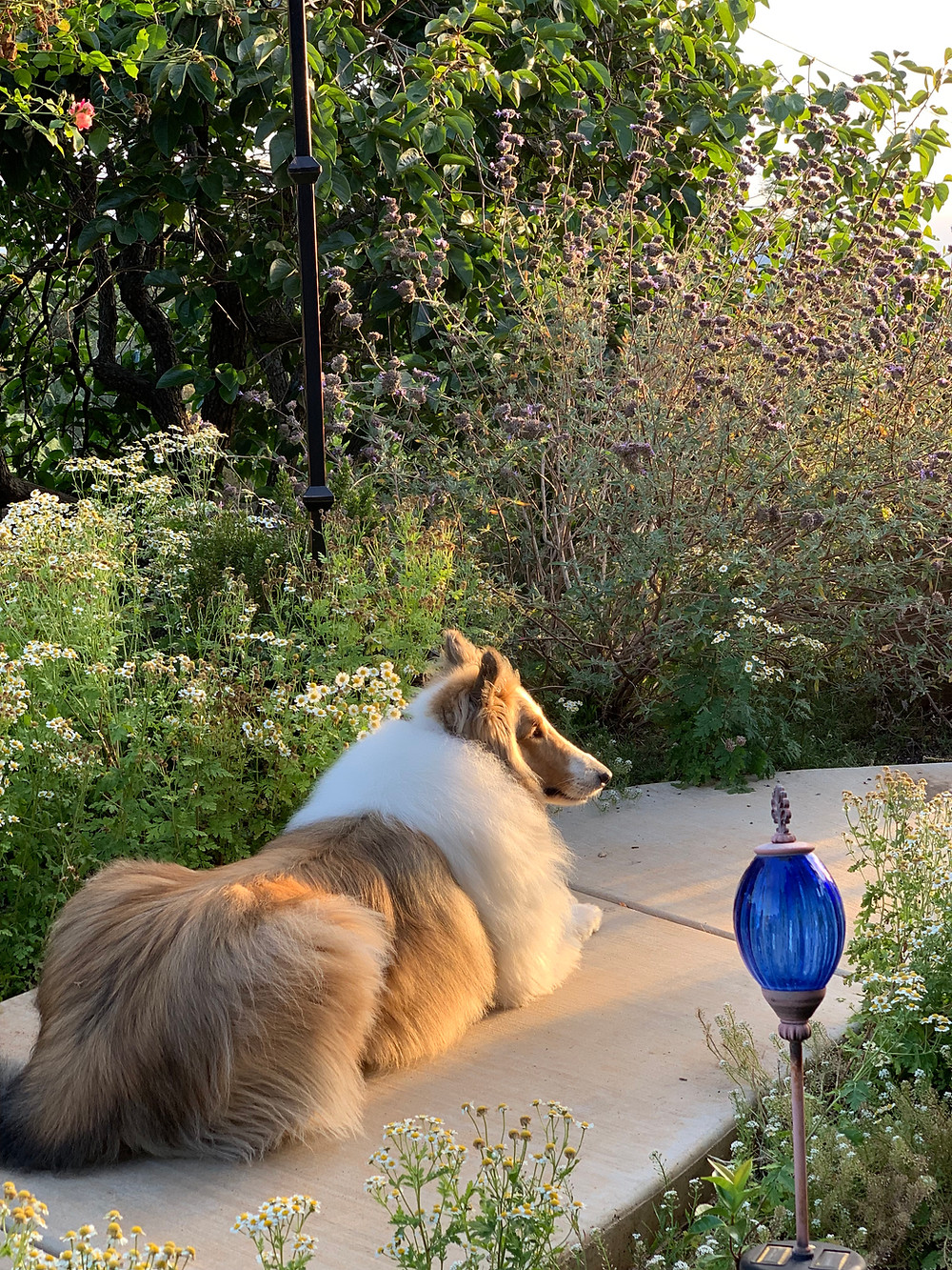 Photo credit: Karen England