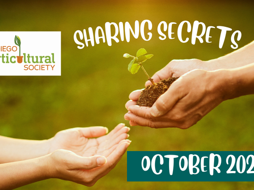 SHARING SECRETS: Lessons Learned