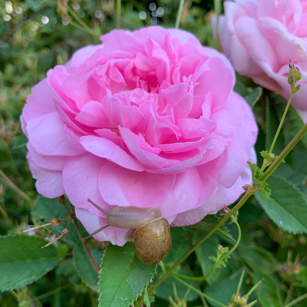Photo credit: Karen England.