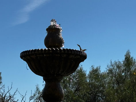 GARDEN SURROUNDINGS: Live The Life You Envision
