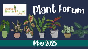 PLANT FORUM: Please Welcome Back The Plant Forum To The Monthly Meetings