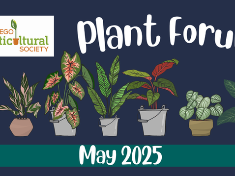 PLANT FORUM: Please Welcome Back The Plant Forum To The Monthly Meetings