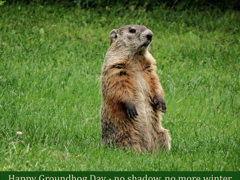 TREES, PLEASE! Are Your Trees Climate Ready?