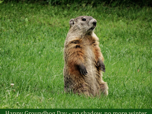 TREES, PLEASE! Are Your Trees Climate Ready?