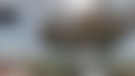 TREES, PLEASE! Don’t Park Your Baby Buggy Under City Of Encinitas 6281ETREE