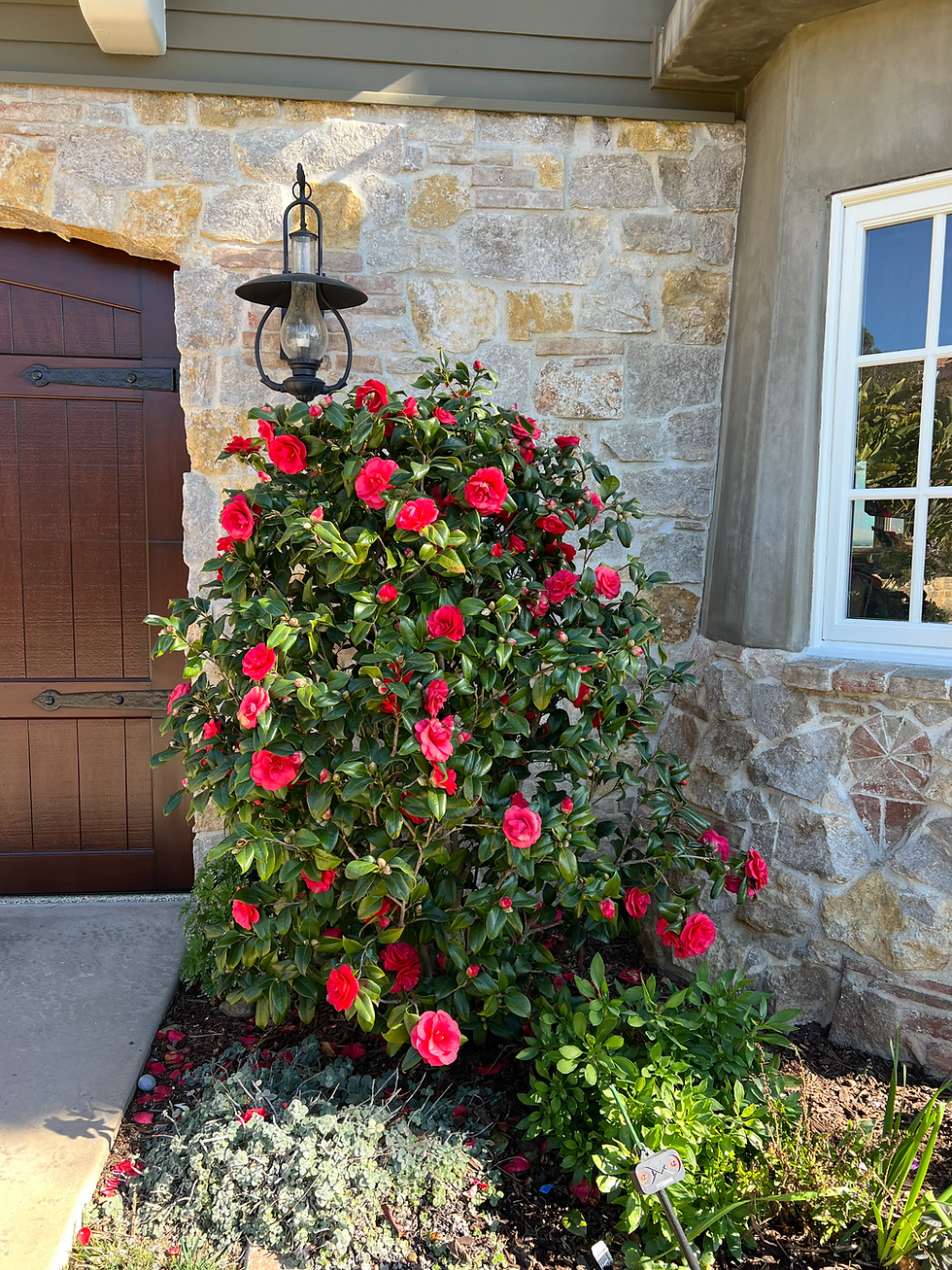 Photo provided by Jason Chen.