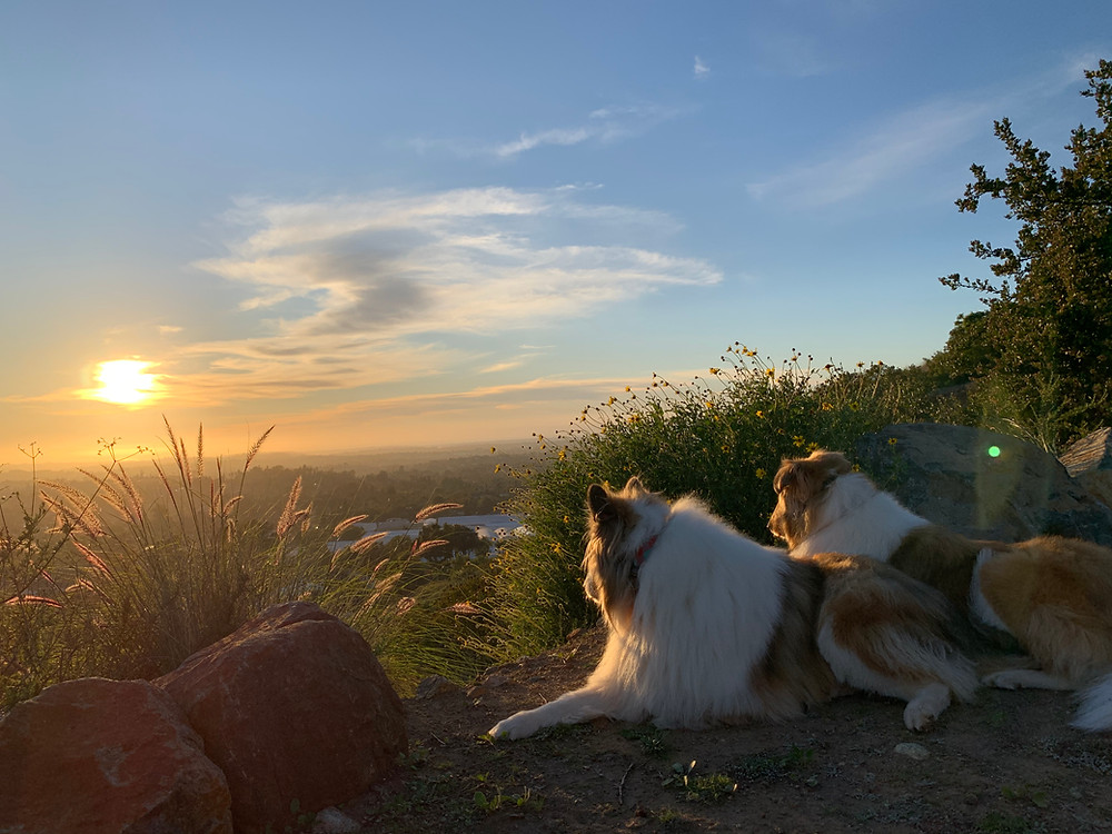 Photo credit: Karen England