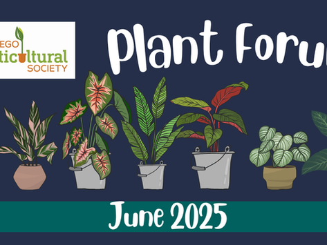 Plants displayed at the June 2025 meeting