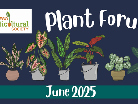 Plants displayed at the June 2025 meeting