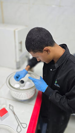 WhatsApp Image 2026-01-21 at 15.14.31.jpeg