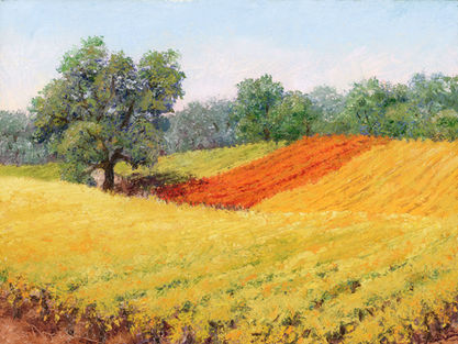 Plymouth, CA, Roadside Vineyard  12 X 16 Oil.jpeg