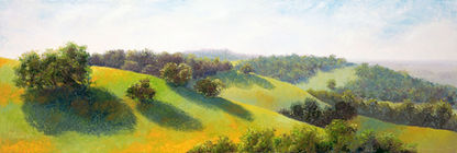 9 AM Spring Poppy Fields  12 X 36 Oil.jpeg