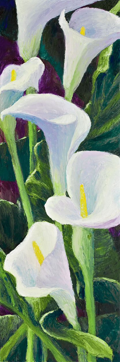 Callas 1  12 X 36.jpeg