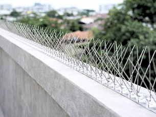 Bird Spikes vs. Netting, Gel & Ultrasonic Deterrents: What Actually Works in GCC Heat