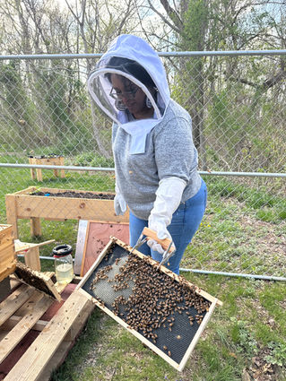 Meet Your Greens: “Cultivating Justice – Farm Without Harm” 
