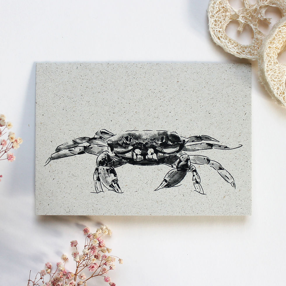 Miniaturbild: Klappkarte, Krebs