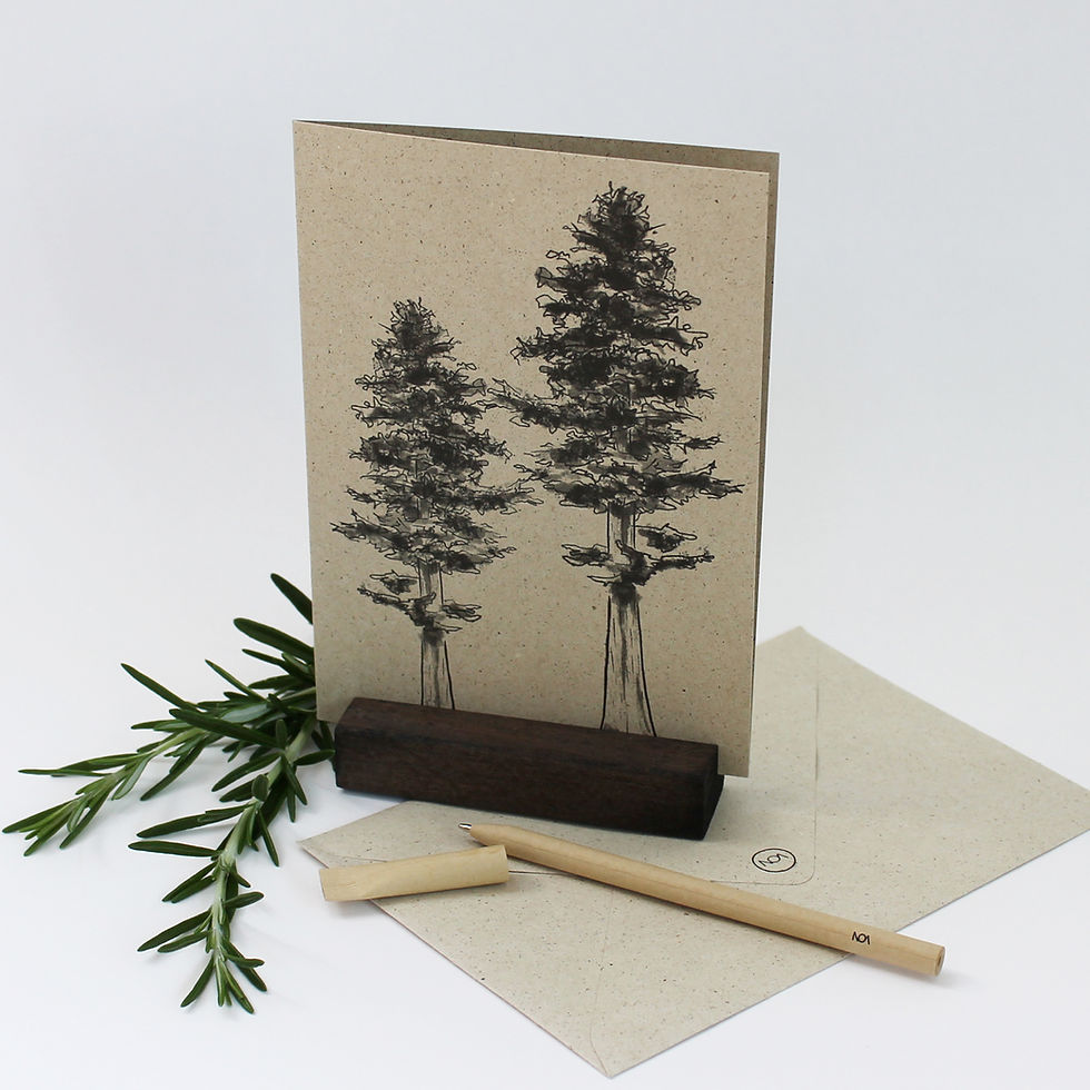 Miniaturbild: Klappkarte, Weißtanne