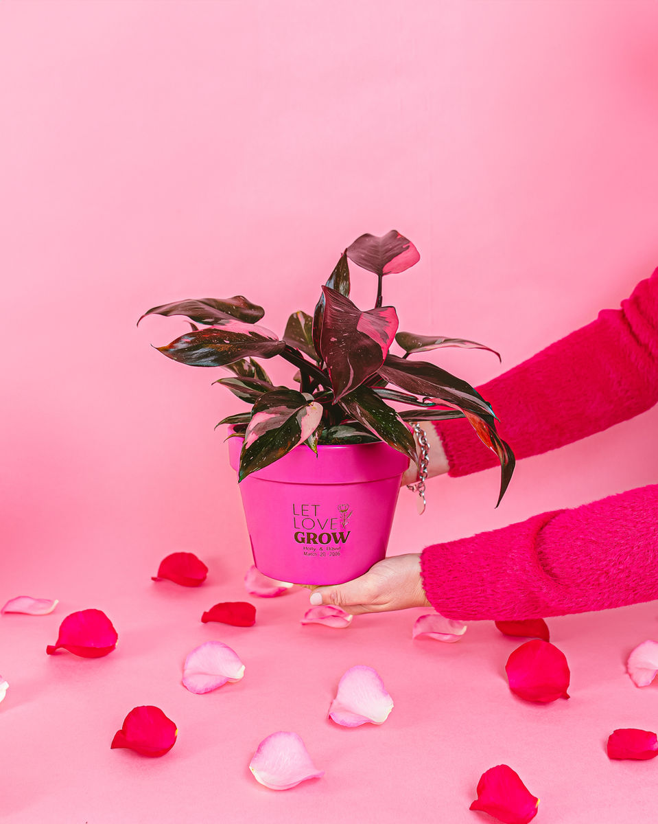 Lively Root Custom Pot Designs