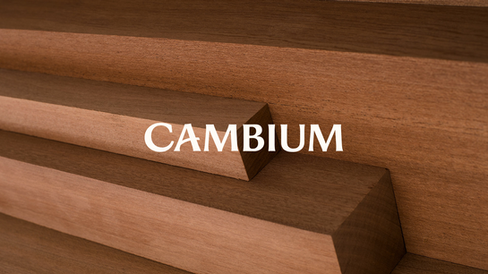 Cambium