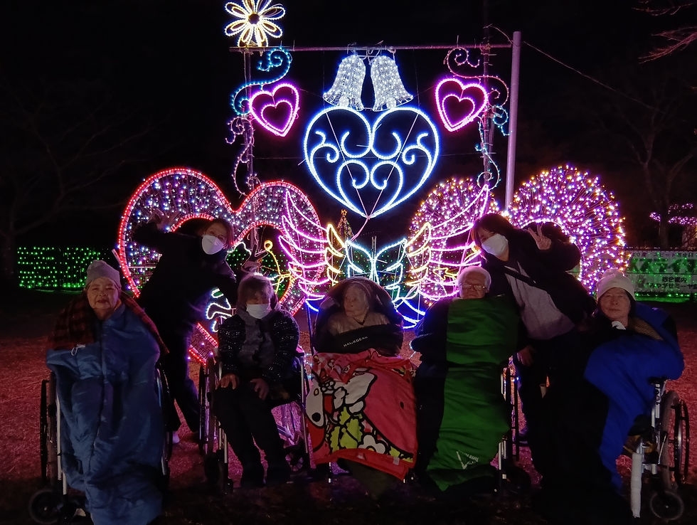 宮ヶ瀬イルミネーション⭐️