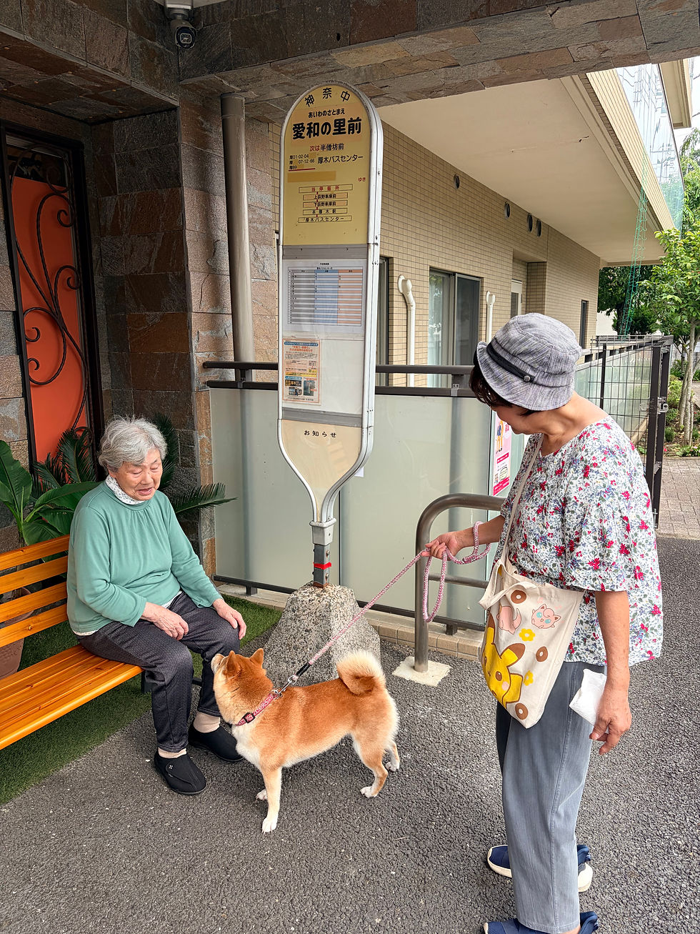 バスを待っていたら