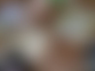 パズルの集い🧩