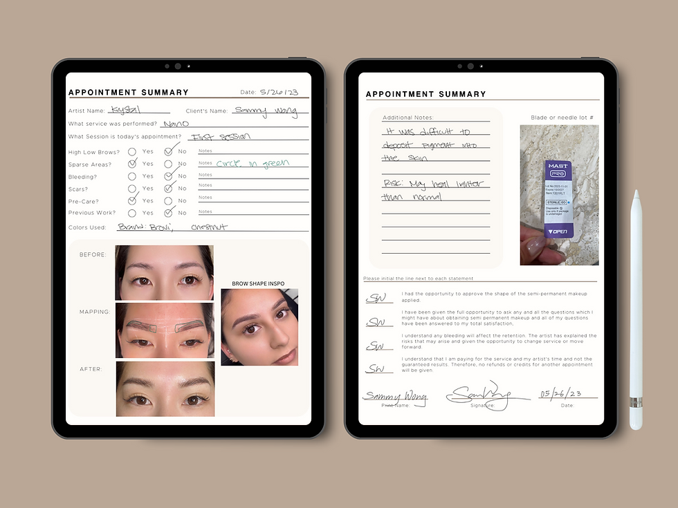 Thumbnail: Appointment Summary | Brows