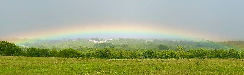 IMG-2385.JPG